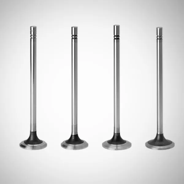 Engine Valves